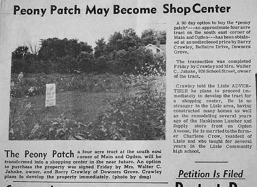 Lisle peony newspaper article